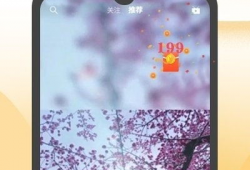 豆花短视频,探寻美食背后的故事与魅力