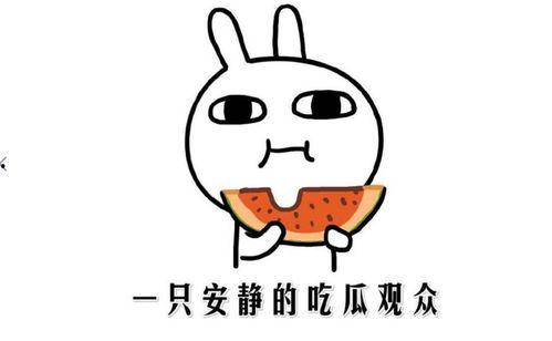 吃瓜吃瓜什么意思,揭秘“吃瓜群众”背后的网络文化现象